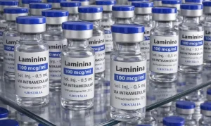 Polilaminina: Testes em humanos para recuperar movimentos após lesão medular começam este mês