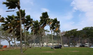Alerta de Ventos Fortes no Rio: Defesa Civil emite aviso para rajadas que podem ultrapassar 76 km/h e chuva intensa
