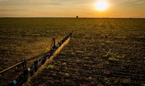 Seguro Rural Ganha Novas Regras: Produtor Brasileiro Terá Mais Proteção e Crédito Facilitado com Ampliação de Coberturas