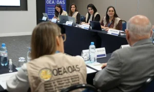 Observadores Internacionais Chegam ao Brasil Para Eleições: OEA, Parlasul e The Carter Center Monitoram Processo Eleitoral em Tempo Real