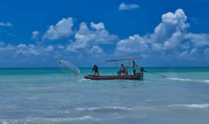 Pesca Amadora em Revisão: Participe da Consulta Pública Online e Defina as Novas Regras Para Sua Atividade!