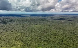 Ibama Apaga 229 Incêndios no Amazonas e Reforça Combate com Mais Seis Aeronaves e 290 Brigadistas