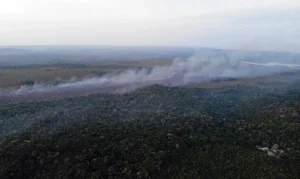 Governo Federal Reforça Combate a Incêndios no Pará com Brigadistas, Aeronaves e Apoio Policial