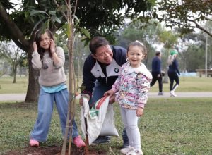 imagem-da-noticia