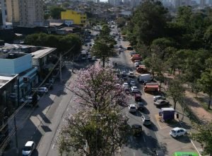 imagem-da-noticia