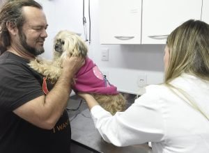 imagem-da-noticia