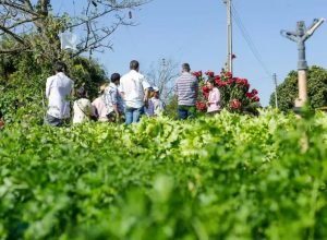 Encontro de Agronegócios