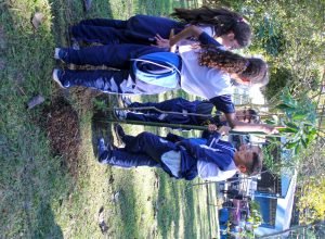 imagem-da-noticia