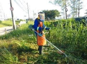 imagem-da-noticia